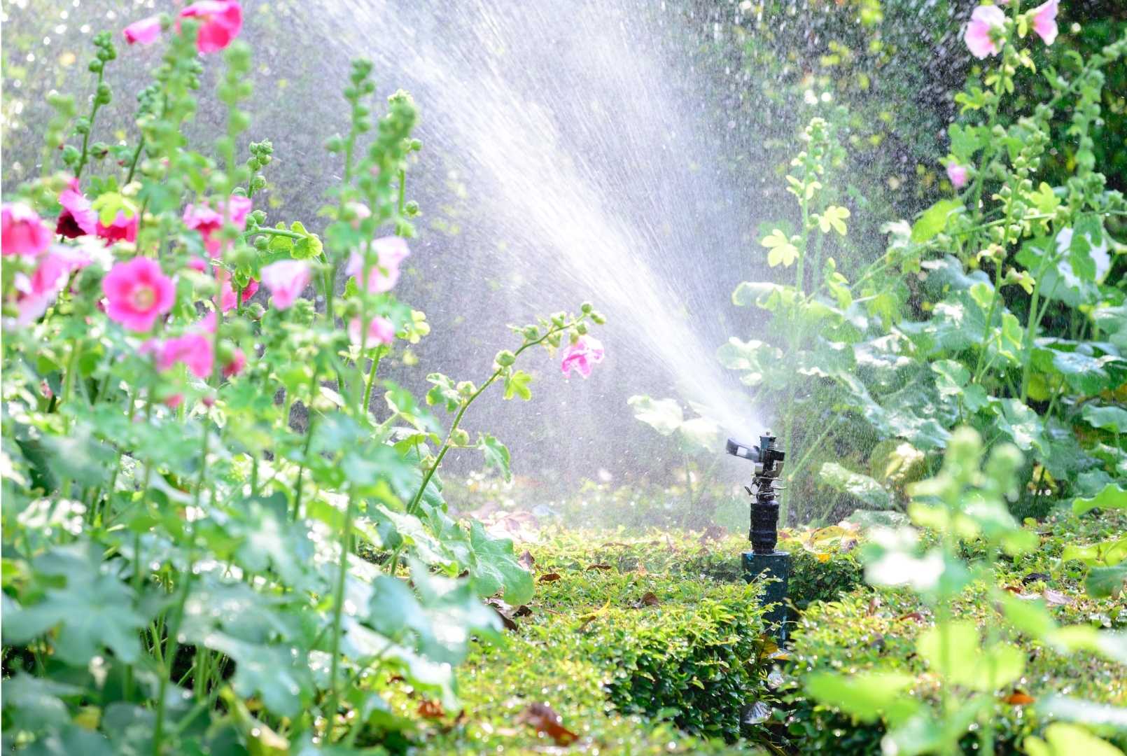 Trinkwasser, Gartenwasser und Abwasser in Verden: Wer ist wofür zuständig? 