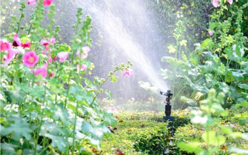 Trinkwasser, Gartenwasser und Abwasser in Verden: Wer ist wofür zuständig? 
