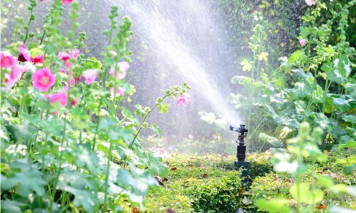 Trinkwasser, Gartenwasser und Abwasser in Verden: Wer ist wofür zuständig? 
